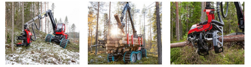 Kom_forest.jpg